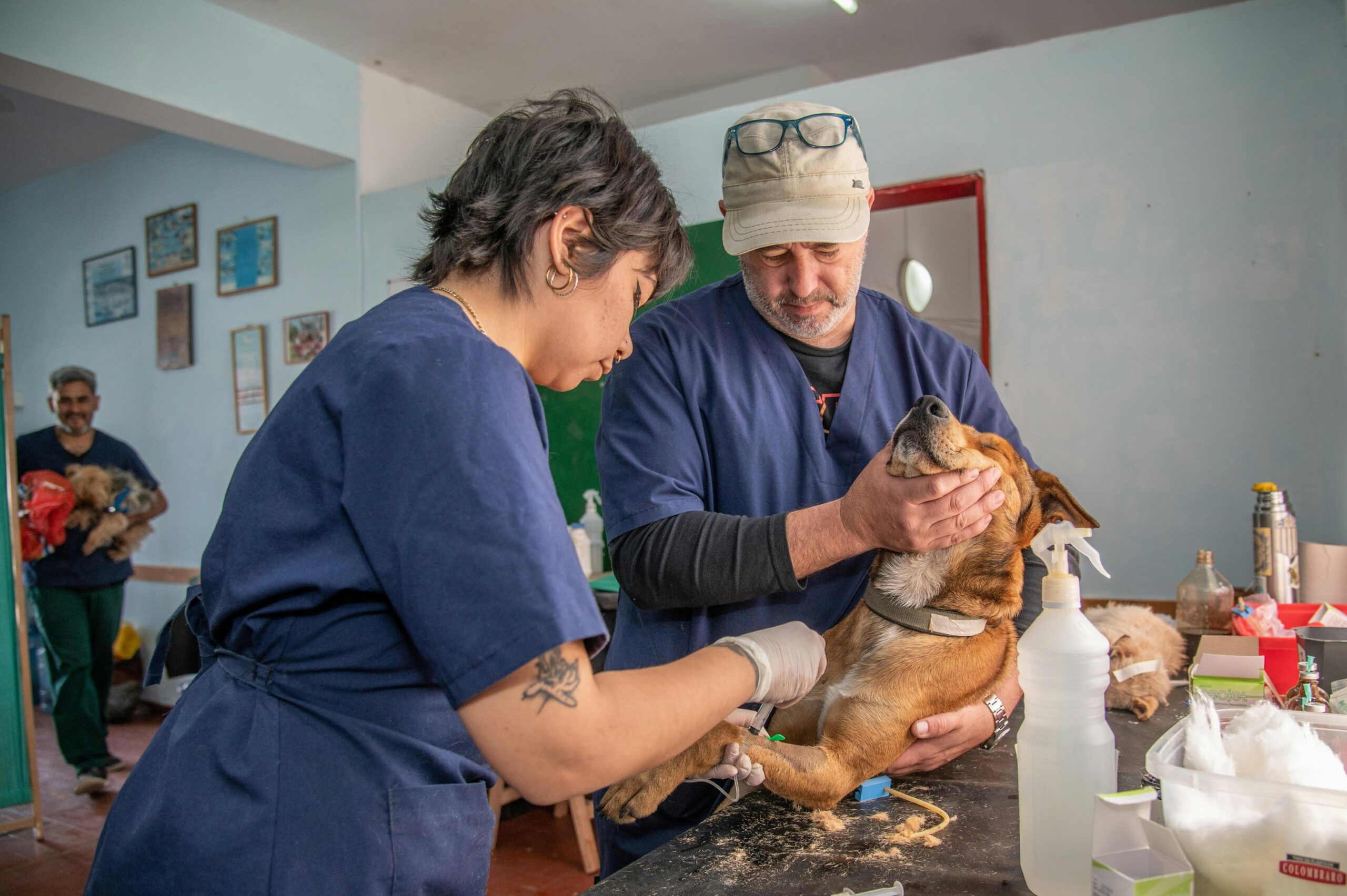 Animal-Assisted Therapy
